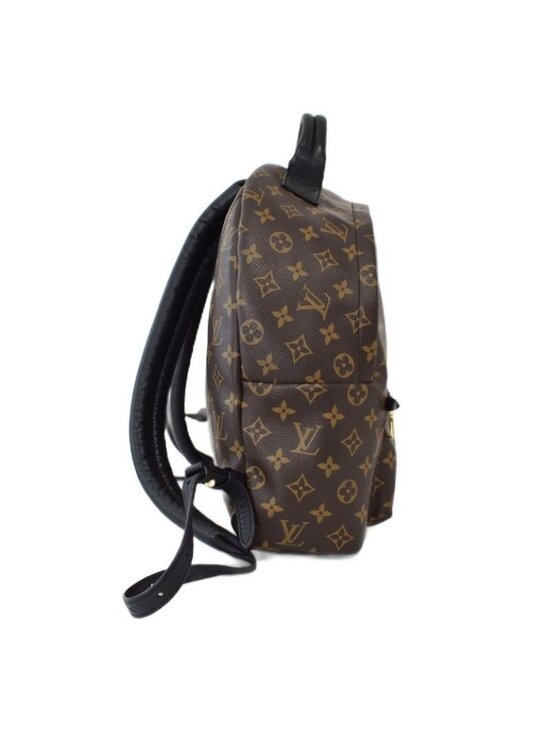 Louis Vuitton Palm Springs Backpack PM Monogram Brown main image 4